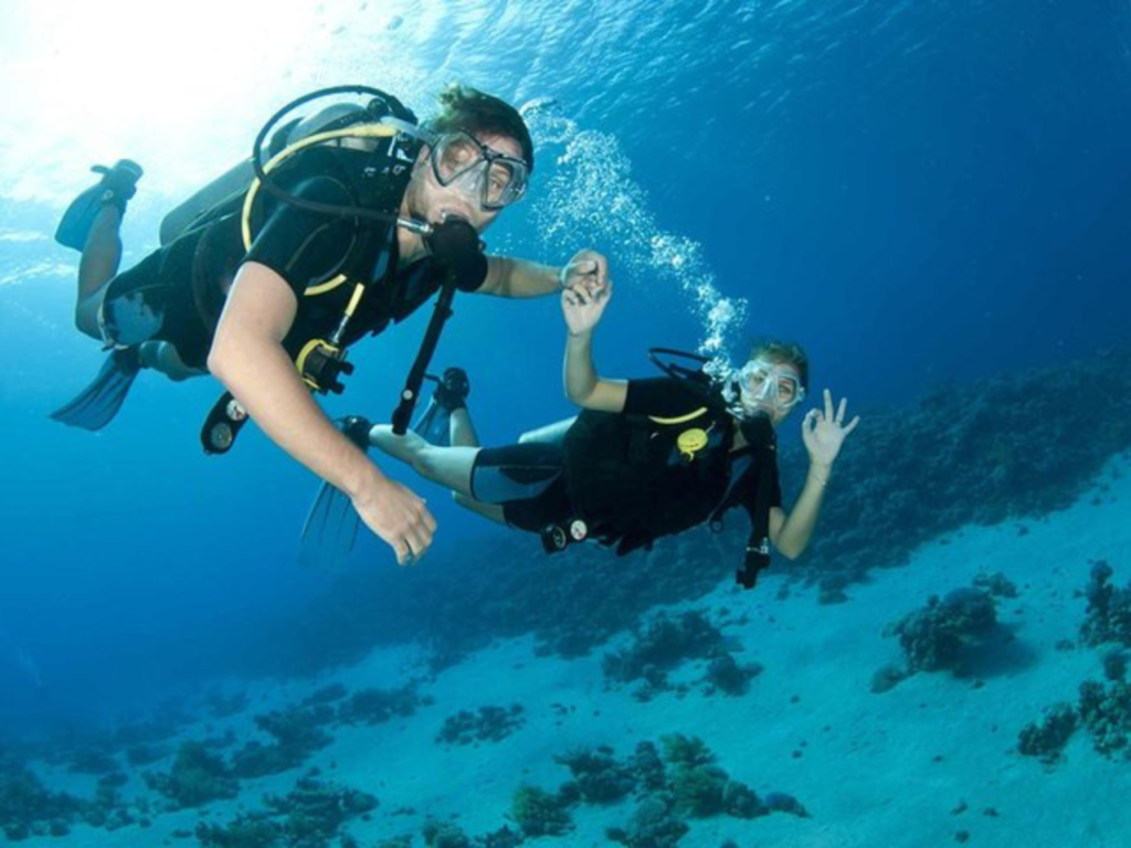 Scuba Diving in Coral Garden